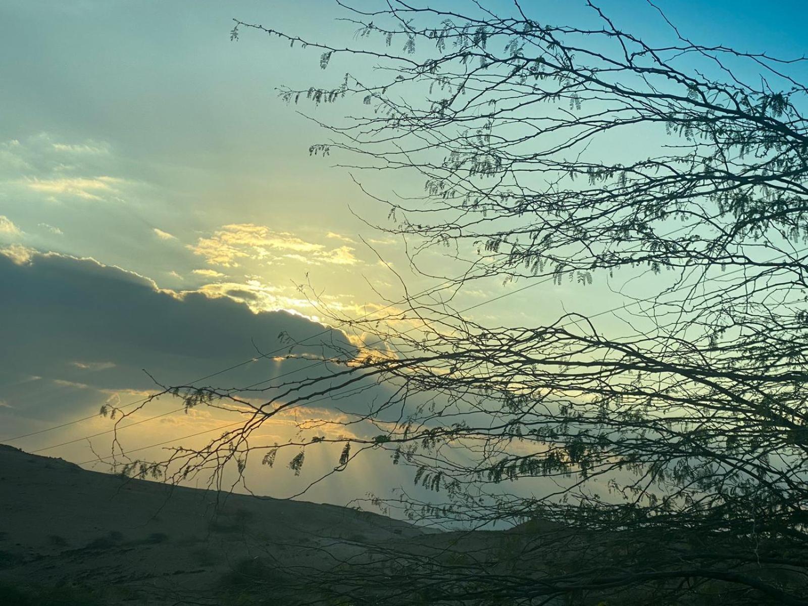 A Wonderful Stay At The Dead Sea Sweimeh Eksteriør billede